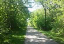 Rolling Meadows Park景点图片