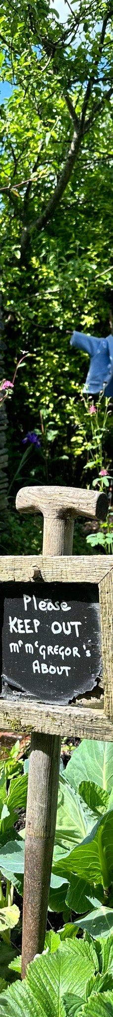 彼得兔世界-鲍内斯温德米尔