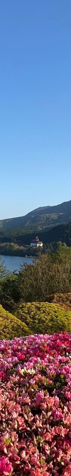 恩赐箱根公园-箱根