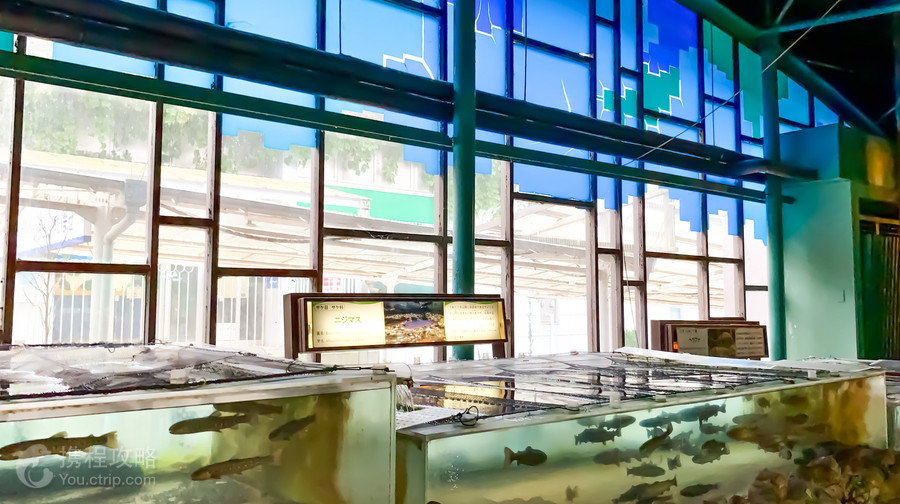 箱根園水族館