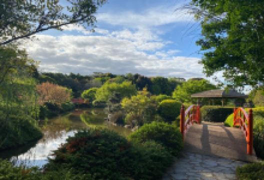 UniSQ Japanese Garden QLD景点图片