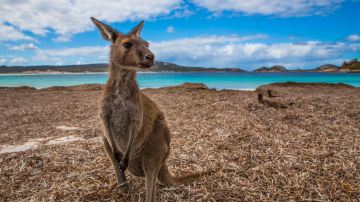 Lucky Bay
