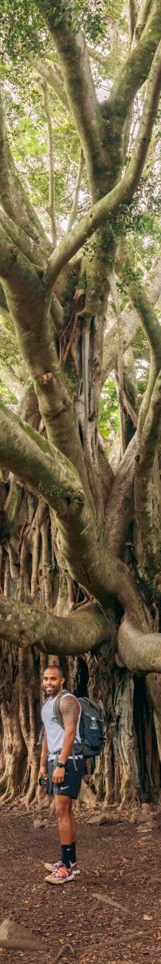 皮皮崴小径-茂宜县