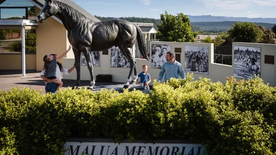 Deloraine & Districts Folk Museum