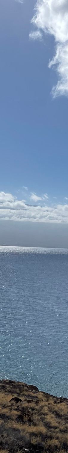 Papawai Scenic Lookout-茂宜县