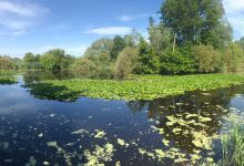 Blankaart Nature Reserve景点图片