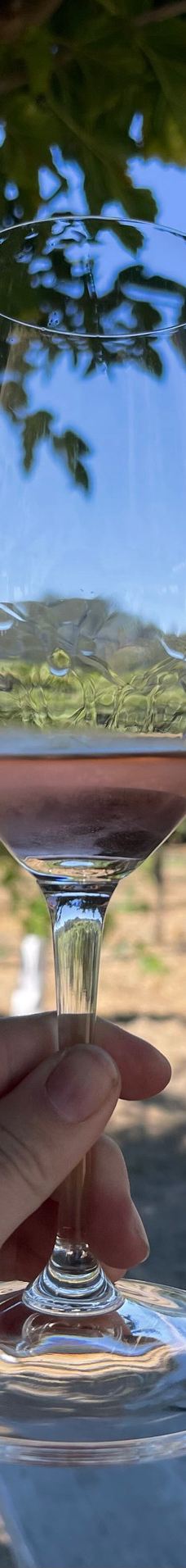 Healdsburg Plaza-希尔兹堡