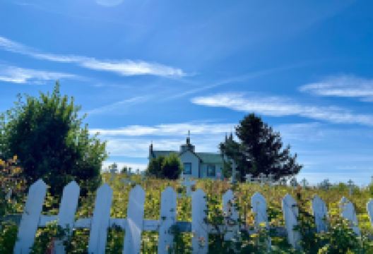 Transfiguration of Our Lord Church景点图片