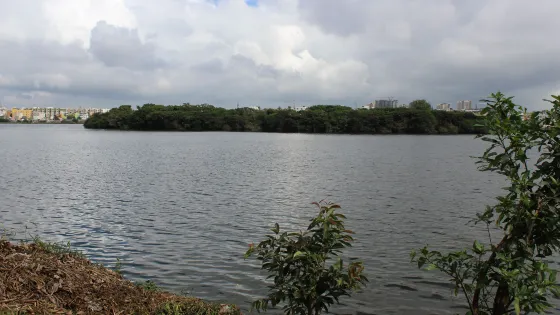 Madiwala Lake