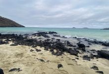 Punta Cormorant景点图片