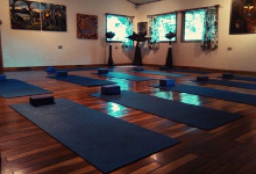 Alas y Raices景点图片