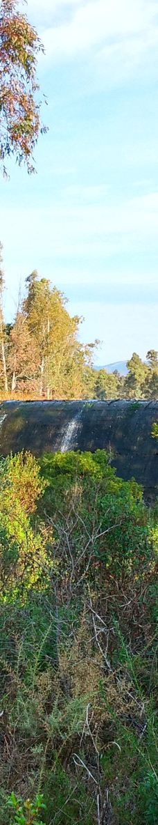 Embalse de Cabezas Rubias-圣巴尔瓦拉德卡萨