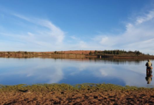 Wild Fly Fishing in the Karoo购物图片