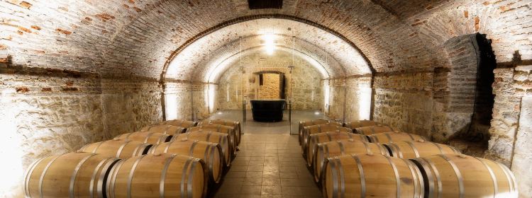 1351938561