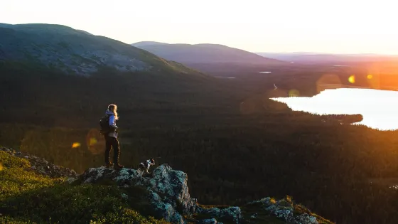 Discover Lapland