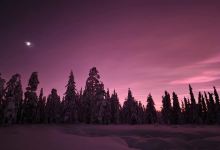 Hidden Trails Lapland购物图片