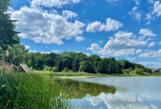 Sternberger See景点图片