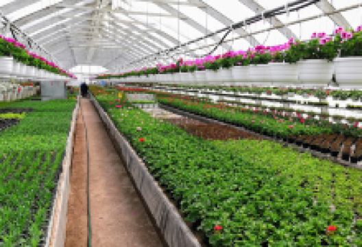 Puutarha Keskumäki购物图片