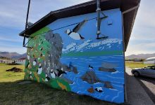 Puffin Wall景点图片