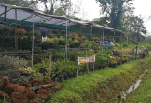 Vivero Talamanca购物图片