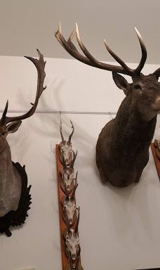 Mures-Bréda Castle-勒克什哈佐