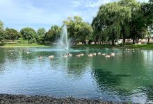 Veterans Park景点图片