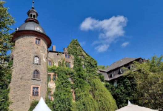 Schloss Laubach景点图片