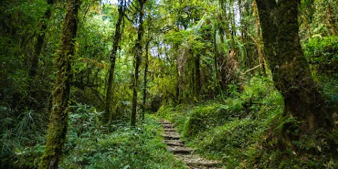 Fambong Lho Wildlife Sanctuary