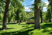 Oak Park景点图片