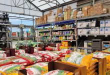 Lowe's Garden Center购物图片
