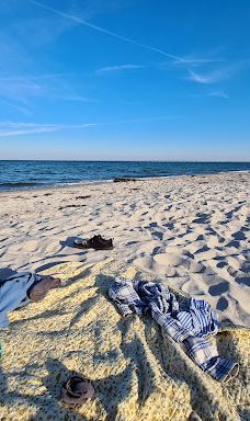 Åbent skovareal ved Nyborg-尼堡