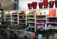Jardinerie Jardi'Nature购物图片