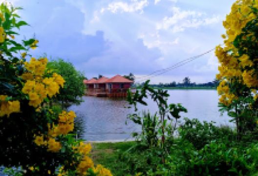 Dhutanga Insight Meditation Center景点图片