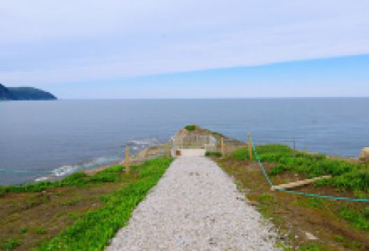 Rocky Harbour Lookout景点图片