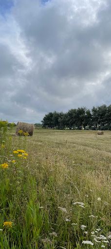 Arm of Gold Campground-小布拉多尔