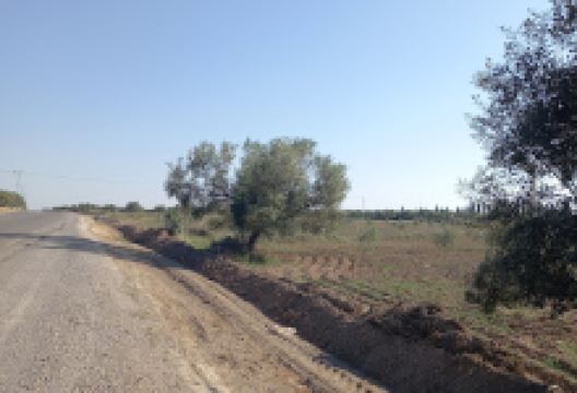 Jamel soddina景点图片