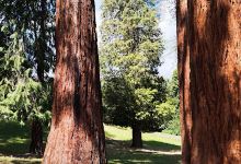 Parc Marcel Constant景点图片