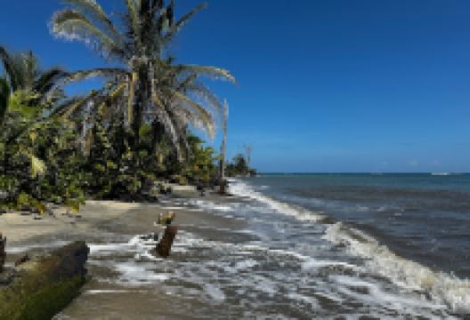 Parque Nacional Cahuita - Entrada Puerto Vargas景点图片