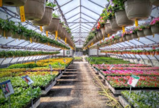 Moose Crossing Garden Center购物图片