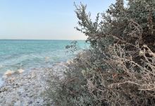 Generator point景点图片