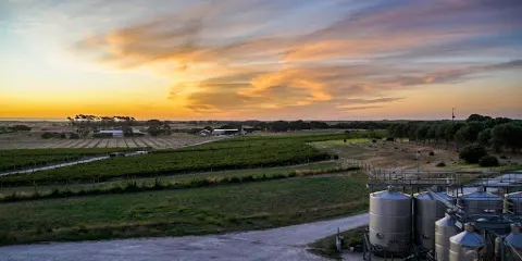 Cape Jaffa Wines