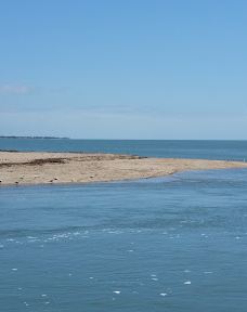 Fig Tree Markets-耶蓬