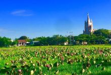 Kim Giao Lotus Lagoon - Đầm Sen Kim Giao景点图片
