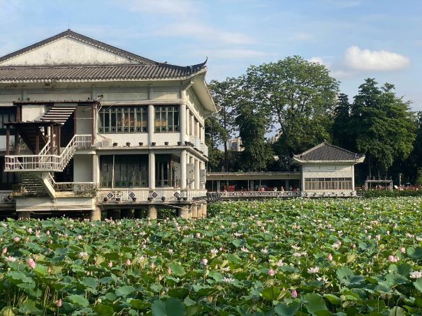 荔湾湖公园景点图片 16
