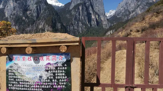 高山紫枝玫瑰苑