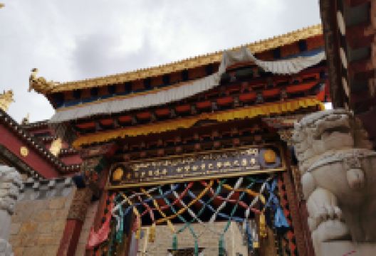 绒巴康参购物图片