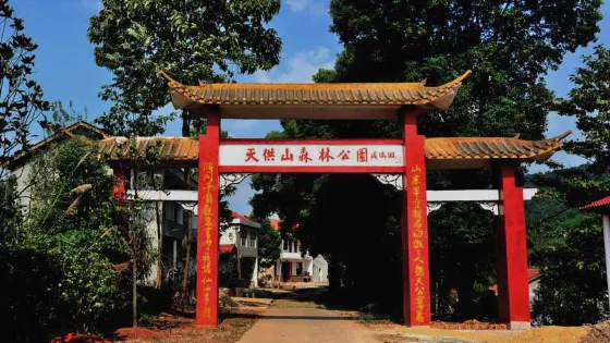天供山森林公園