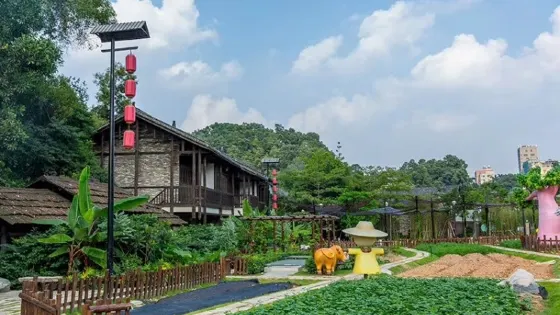 四桂村