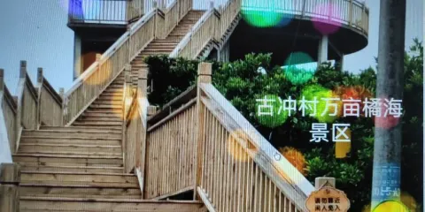 萬畝橘海觀景區