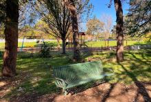 David Street Playground景点图片